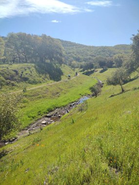 Fotoğraf: Bahar Gölü ve Santa Rosa Park Kaliforniya