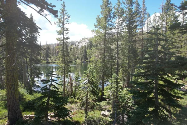 stock image Aerial view of Little bear lake at Eureka Plumas Forest, Lake Basin, California