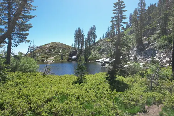 Siskiyou Gölü ve Shastha Dağı 'nın etrafındaki göl ve yabanın havadan çekilmiş fotoğrafı.