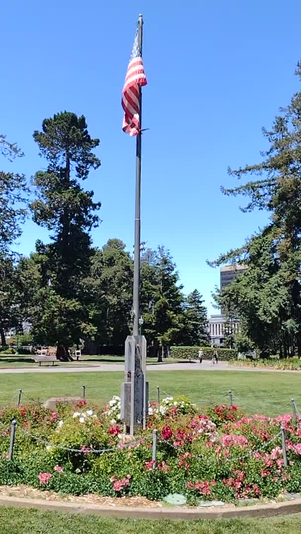 2023 캘리포니아 마테오 공원에서 바람에 미국의 깃발을 Fluttering — 비디오
