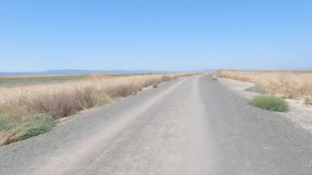 2023 Фримонт Калифорния Велодорожка Аламеда Крик — стоковое видео