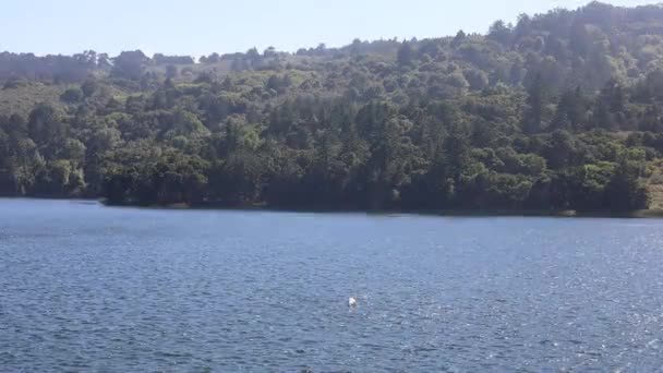 Crystal Springs Reservoir San Mateo Kalifornien — Stockvideo