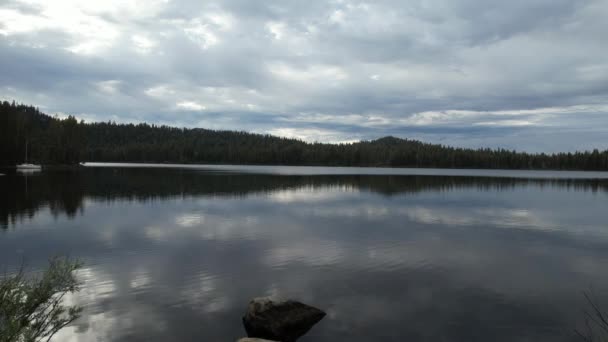 Vidéo Aérienne Du Lac D'or, Forêt Eureka Plumas, Bassin Du Lac, Californie