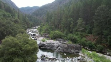 Yuba nehri, Havza Gölü, Eureka Plumas Ormanı, Kaliforniya 'da akıntılar üzerinde uçuyor.