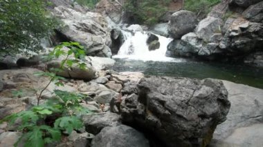 Aşk Düşerken Hava Videosu, Eureka Puma Ormanı, Havza Gölü, Kaliforniya