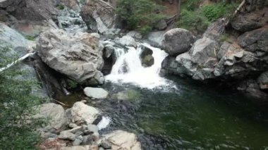 Aşk Düşerken Hava Videosu, Eureka Puma Ormanı, Havza Gölü, Kaliforniya