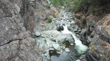 Yuba nehri, Havza Gölü, Eureka Plumas Ormanı, Kaliforniya 'da akıntılar üzerinde uçuyor.