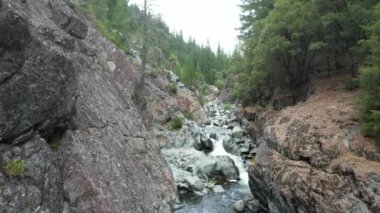 Yuba nehri, Havza Gölü, Eureka Plumas Ormanı, Kaliforniya 'da akıntılar üzerinde uçuyor.