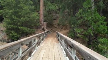 Yuba nehri üzerinden uçuyor, Eureka Plumas Ormanı, Havza Gölü, Kaliforniya
