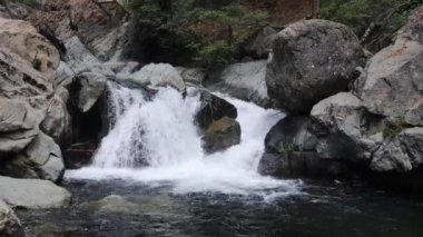 Love Falls, Eureka, Plumas Ormanı, Graegle, Kaliforniya