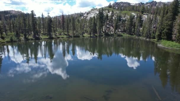 Aerial Video Bear Lake Καλιφόρνια Eureka Plumas Forest Lake Basin — Αρχείο Βίντεο