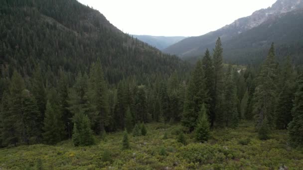 Aerial Video Sierra Buttes Eureka Plumas Forest Lake Basin California — Stock Video