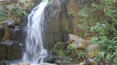 Tatlı Briar Şelalesi, Shastha Dağı, Kaliforniya