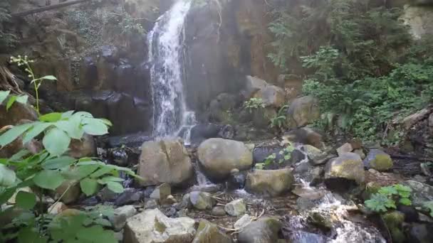 Sweet Briar Falls Mount Shastha California — Stock Video