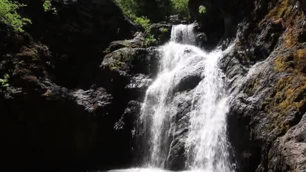 Perery Falls Shastha Dağı Kaliforniya — Stok video