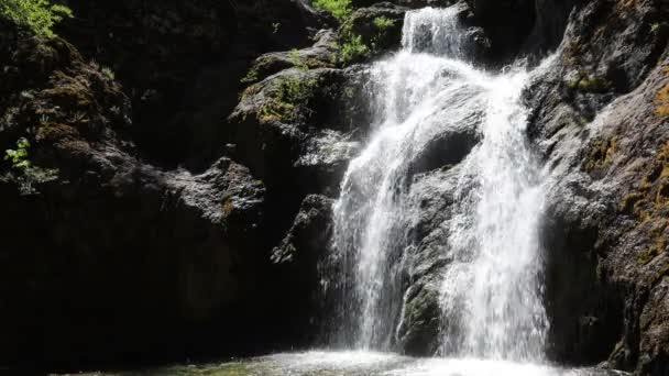 Faery Falls Mount Shastha California — Stock Video