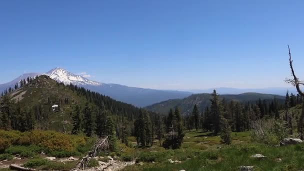 Zona Salvaje Mount Shastha California — Vídeo de stock