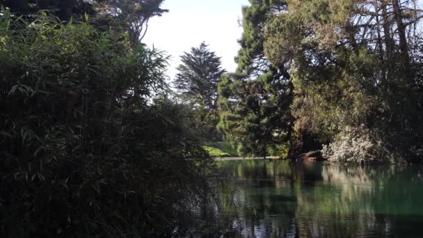 カリフォルニア州サンフランシスコのゴールデンゲートパークの湖 — ストック動画