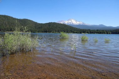 Siskiyou Gölü 'ne yansıyan Shastha Dağı' nın vahşi fotoğrafı. 