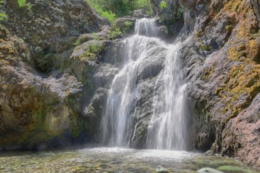 Shastha California 'da su seviyesi düşüyor.