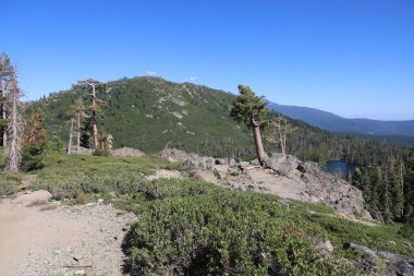 Siskiyou Gölü ve Castle Gölü çevresindeki Shastha Dağı 'nın vahşi doğasının fotoğrafı.