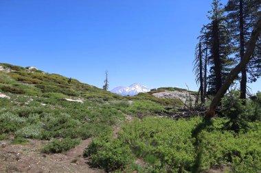 Siskiyou Gölü ve Castle Gölü çevresindeki Shastha Dağı 'nın vahşi doğasının fotoğrafı.