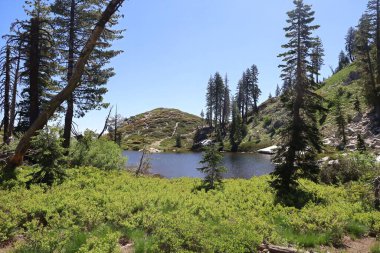 Siskiyou Gölü ve Castle Gölü çevresindeki Shastha Dağı 'nın vahşi doğasının fotoğrafı.
