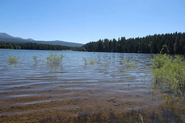 Siskiyou Gölü 'ne yansıyan Shastha Dağı' nın vahşi fotoğrafı. 