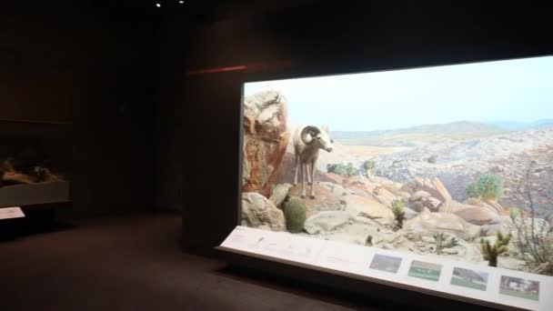 2023 奥克兰 加利福尼亚 奥克兰艺术博物馆 — 图库视频影像