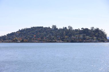 Belvedere ve Tiburon California 'nın fotoğrafı