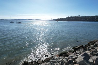 Fotoğraf: San Francisco Körfezi Belveder ve Tiburon California kıyı şeridi patikasından.