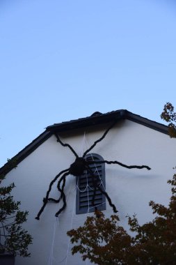 10-8-2023: Burlingame, California: Kaliforniya 'da Cadılar Bayramı süslemeleri, Dev Örümcek