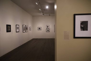 9-9-2023: Stanford, California, ABD: Cantor Müzesi, Stanford Californi