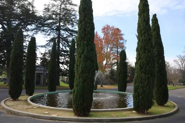 stock image 12-26-2023: Oakland; California: Mountain view cemetary in Oakland California