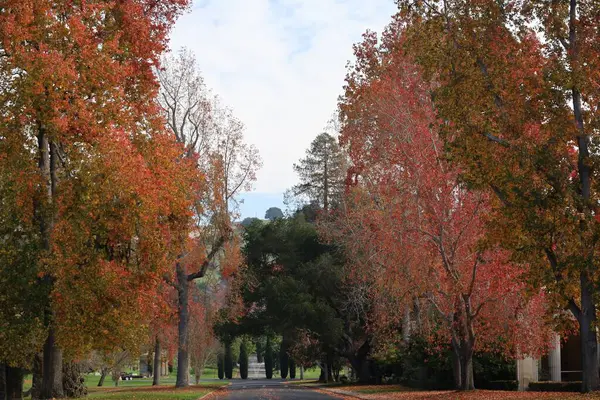 stock image 12-26-2023: Oakland; California: Mountain view cemetary in Oakland California