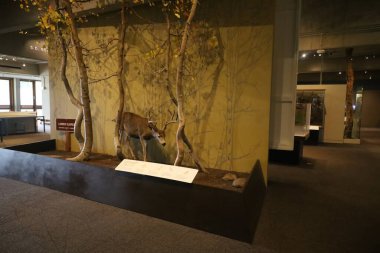 11-5-2023: Oakland, California, ABD: Oakland Sanat Müzesi