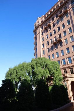 1-1-2024: San Francisco, California, ABD: San Francisco Pacific Heights Mahallesi