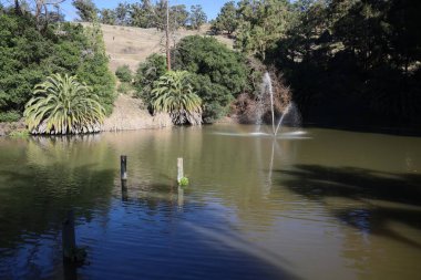 1-11-2023: Fremont, California: Ohlone Koleji 'nde çeşme ve havuz