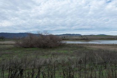 Açık arazilerin ve Meadows 'un fotoğrafı. Paicines California yakınlarındaki yol kenarında.
