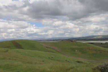 Coyote Hills 'deki manzara ve tepelerin fotoğrafı. Fremont California.