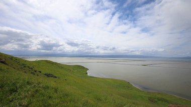 Coyote Hills 'deki manzara ve tepelerin fotoğrafı. Fremont California.