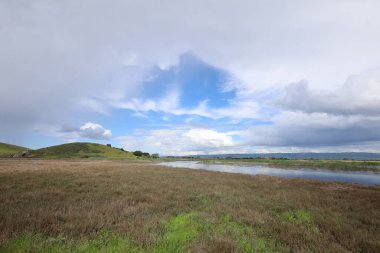 Coyote Hills 'deki manzara ve tepelerin fotoğrafı. Fremont California.