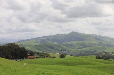 Vargas Platosu, Kaliforniya 'daki tepelerin, otlakların ve manzaraların fotoğrafı