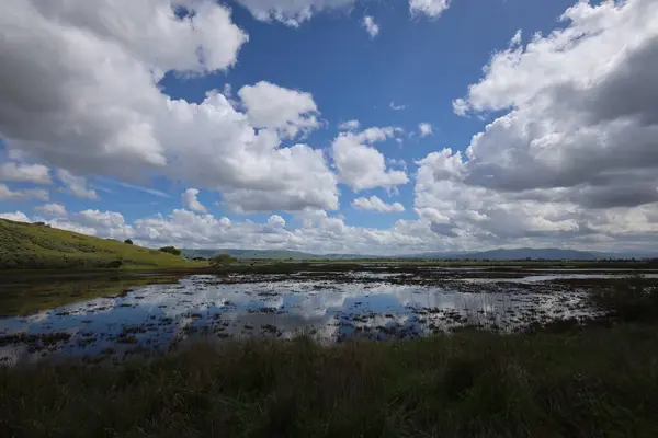 stock image Photo of landscape and hills at Coyote hills Fremont  California