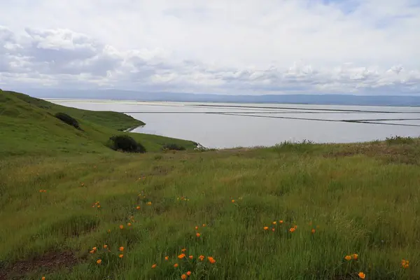 stock image Photo of landscape and hills at Coyote hills Fremont  California