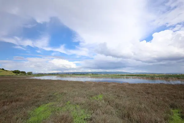 stock image Photo of landscape and hills at Coyote hills Fremont  California