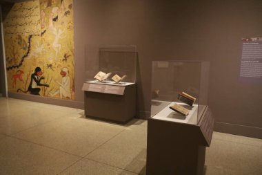 1-2-2025: San Diego, Kaliforniya, ABD: San Diego Sanat Müzesi