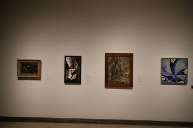 1-2-2025: San Diego, Kaliforniya, ABD: San Diego Sanat Müzesi