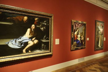 1-2-2025: San Diego, Kaliforniya, ABD: San Diego Sanat Müzesi
