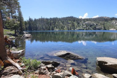 Fotoğraf: Büyük Ayı Gölü Eureka Plumas Ormanı, Kaliforniya